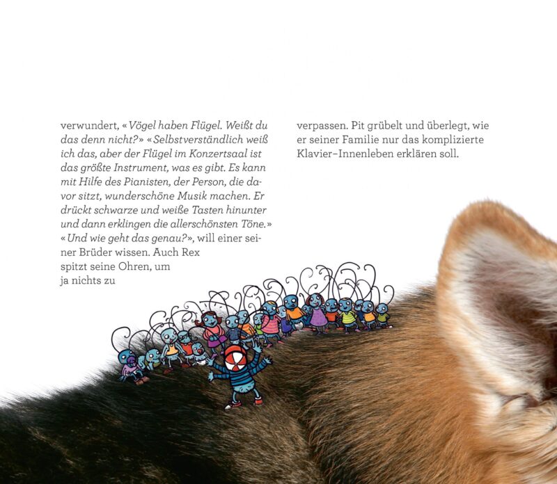 Pit der kleine Floh Das Tastenabenteuer Set – Bild 9