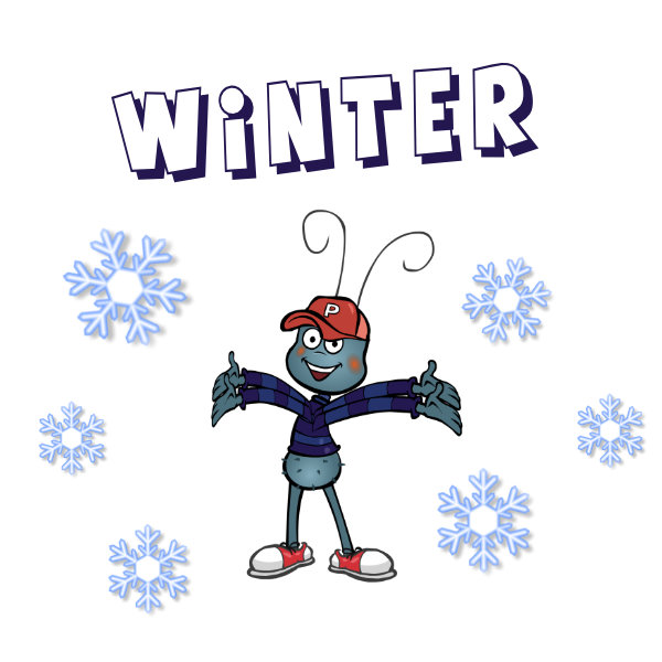 Winter